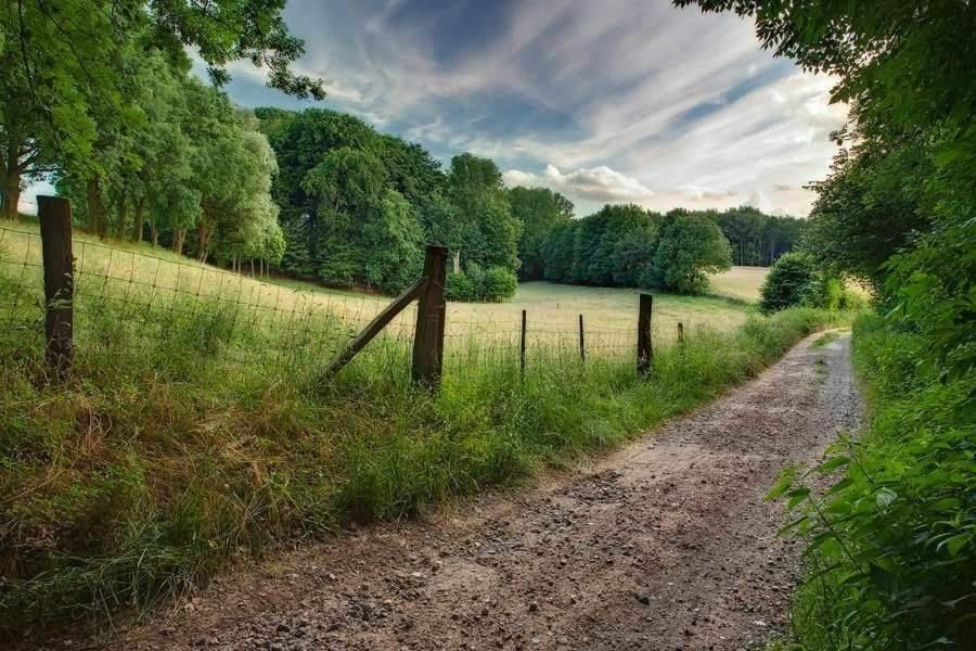 Meerbeek Unwind Villa
